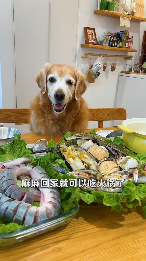 下载中心 第3页
