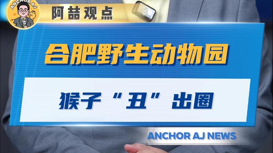 admin 第7页