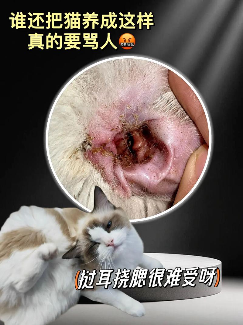 耳中取出活体猫螨虫，惊恐！耳内竟发现活体猫螨虫，如何安全处理？