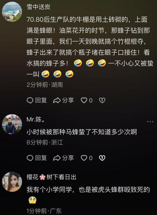 女童被蜜蜂蛰伤致死，女童被蜜蜂蛰伤不幸离世，悲剧引发关注与哀悼