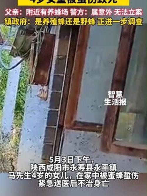 女童被蜜蜂蛰伤致死，女童被蜜蜂蜇伤致死，悲剧警示注意防范蜂类伤害
