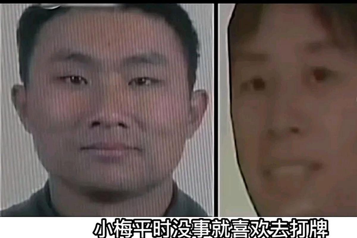 杀妻落网后怪丈母娘，杀妻落网后，揭开怪异岳母背后的真相