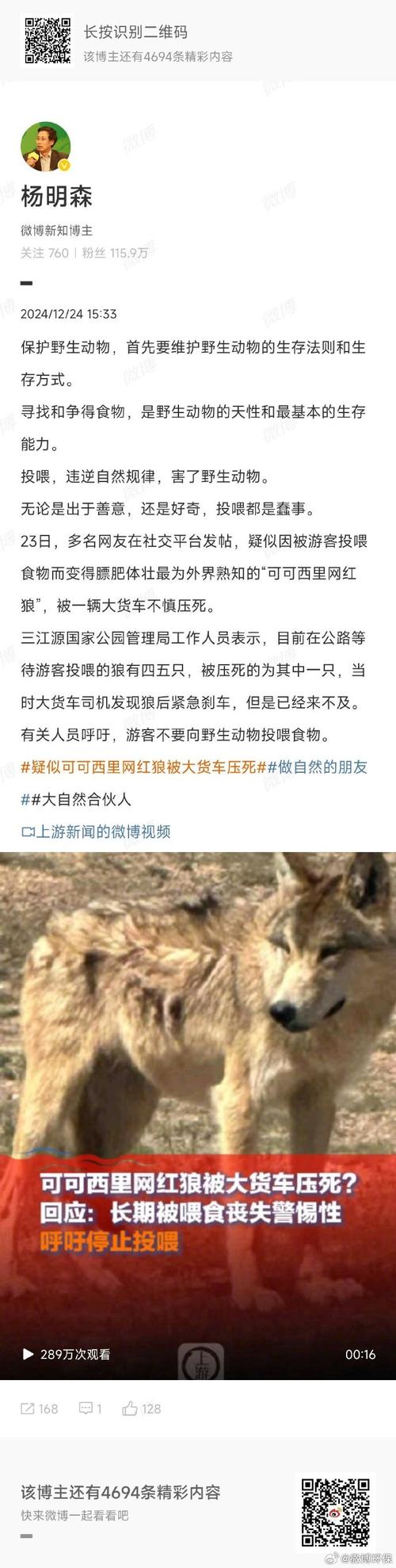 西藏自驾遭两狼夹击，西藏自驾遇险记，两狼夹击下的惊魂之旅