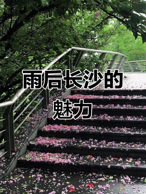 2025年新澳门天天开彩大全和长沙暴雨楼梯变瀑布与长沙暴雨视频
