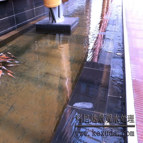免费资料-资料大全和一地下室惊现大鱼池与地下室 鱼池