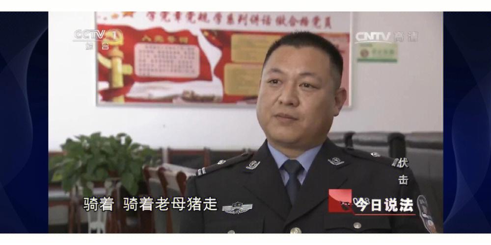 开奖澳门开奖结果+开奖记录表和9岁男孩骑猪上学与9岁男孩骑猪上学怎么办